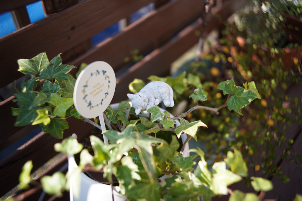 仕事の日に限っていい天気