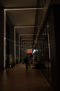 夕日に向かって