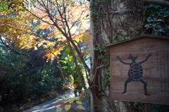 かっぱのきもち