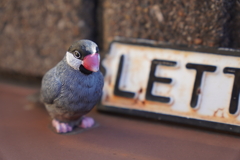 うちのポスト管理人さん