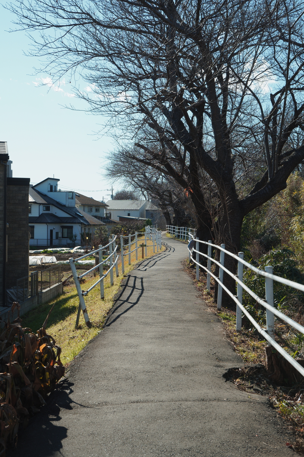 初詣までのみちのり
