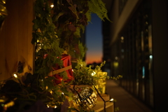 プレゼントがなる木