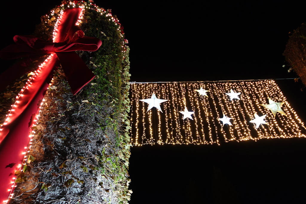 イルミネーション