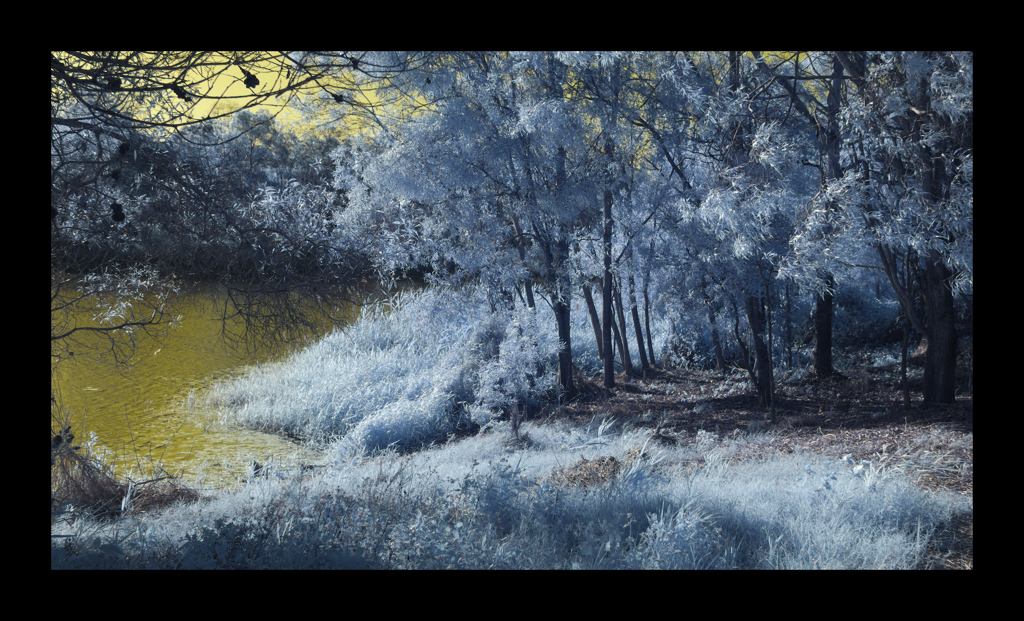 赤外線パラダイス公園