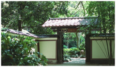 アドバンストフォトシステム