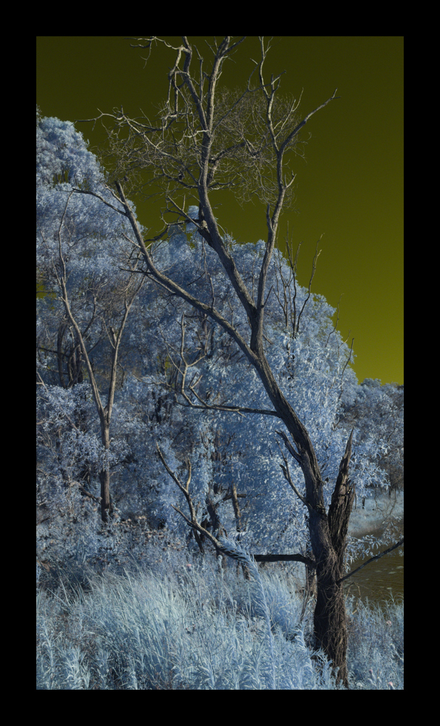 赤外線パラダイス公園