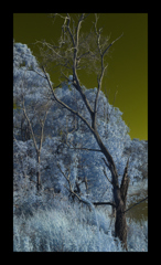 赤外線パラダイス公園