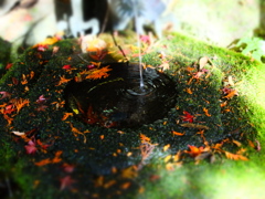 蹲「つくばい」