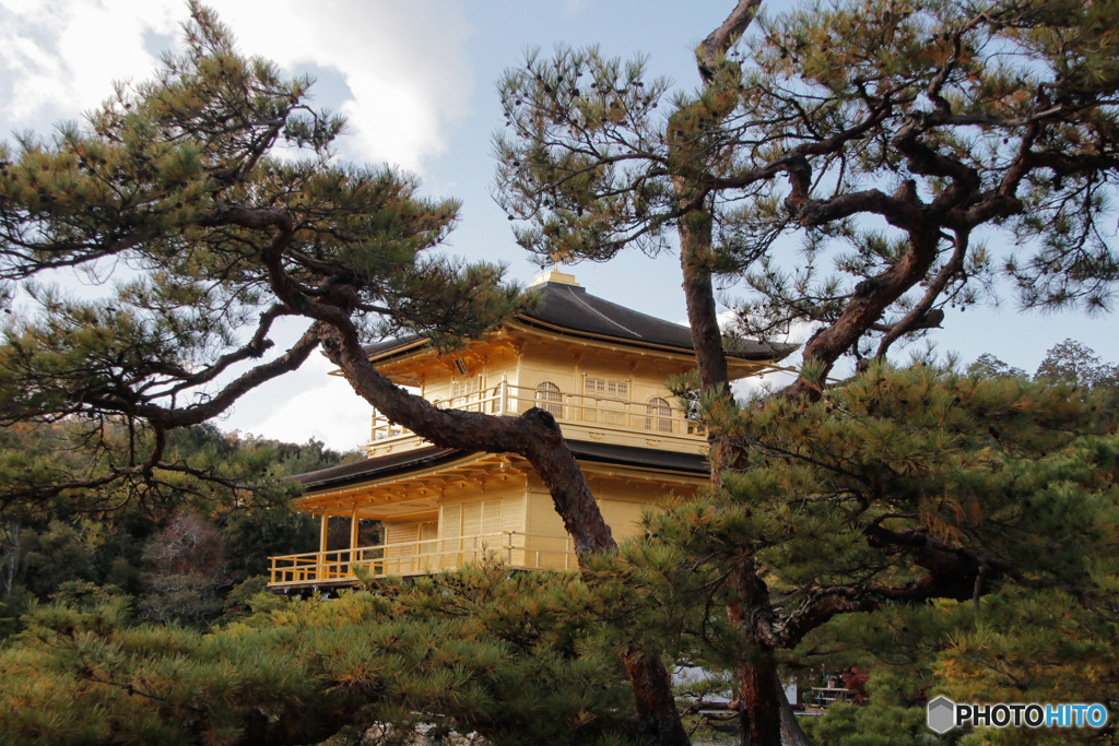 金閣寺6