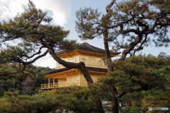 金閣寺6