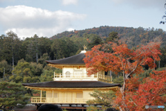 金閣寺