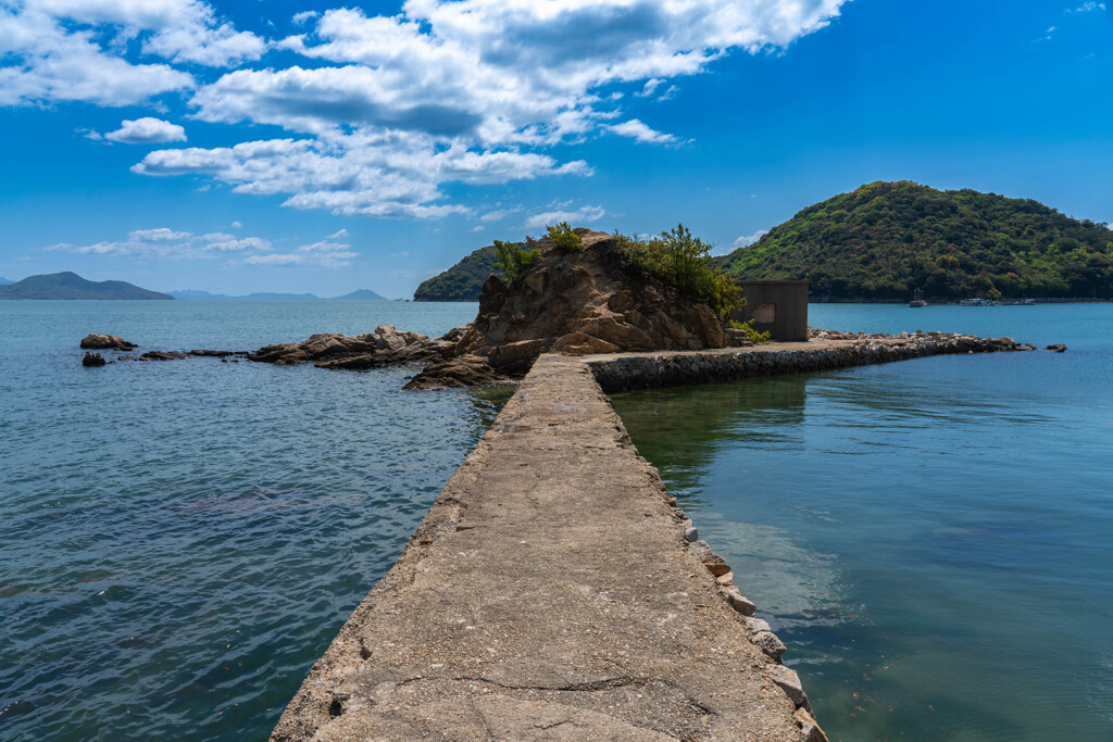 summer pockets でしろはが釣りしてる場所