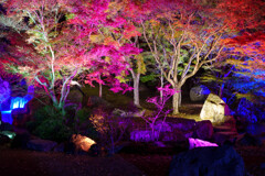 耶馬渓  溪石園 夜