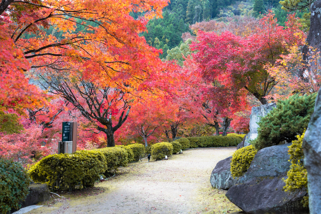 耶馬渓  溪石園