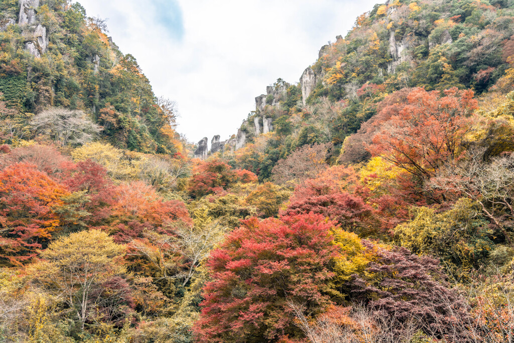 耶馬渓   一目八景