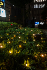 ほたるのようなライト