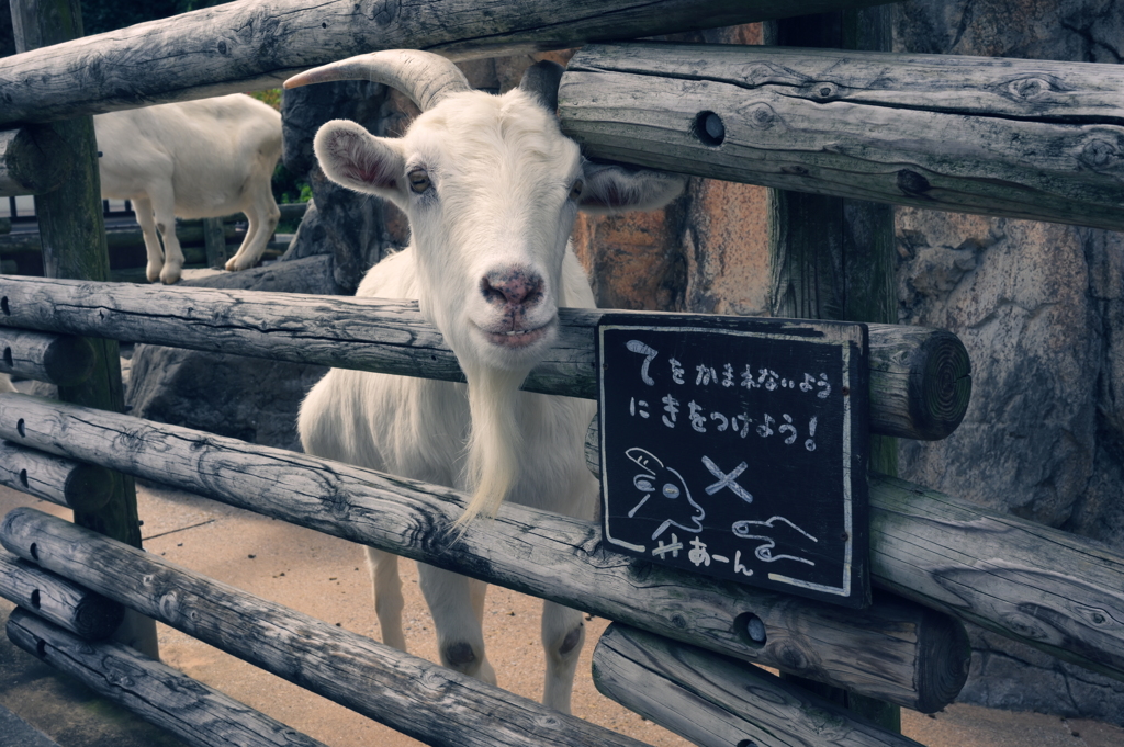 「Are you ready？」