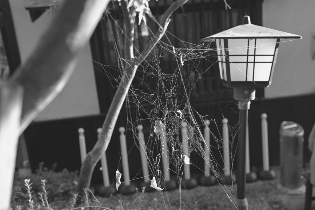 「Final resting place」