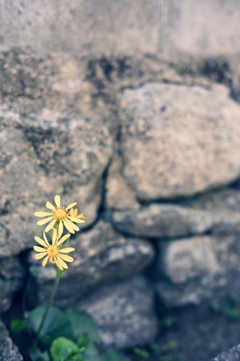 「The two of us alone」