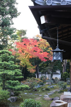 寺と紅葉