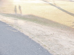 いつかきっとこの日を思い出す