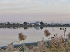 同じ景色を見ていた