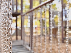 キラキラを通って ♪