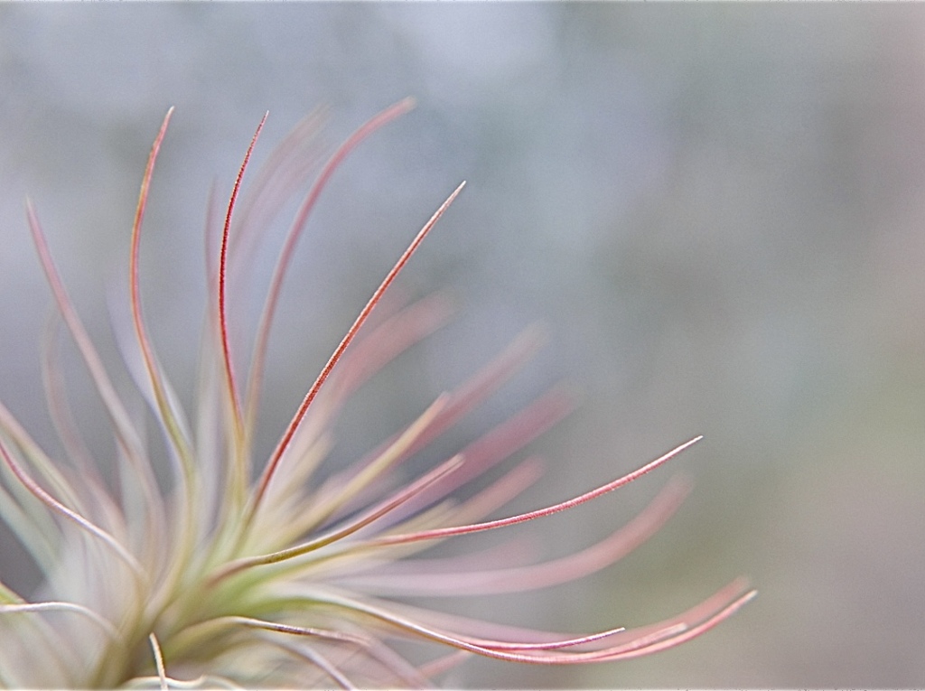 不思議なきもち