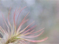 不思議なきもち