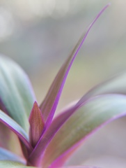 私ともうひとりの私