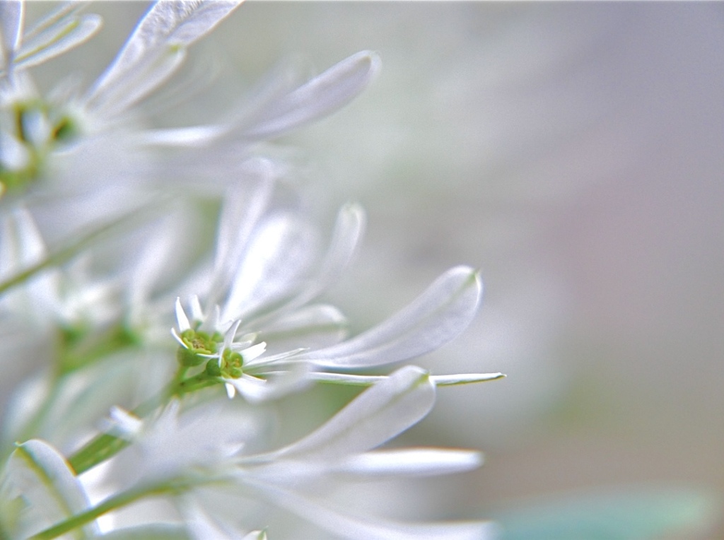 小さな小さな私を見つけて