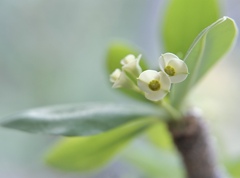あなたの夏は、、