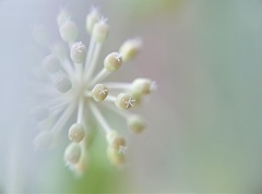 くるくる回りだしそうな、