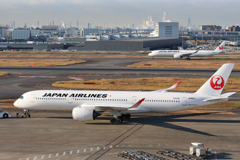 国内線と国際線