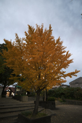 東水巻駅周辺_20251124_01