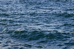 響灘北緑地公園_20251115_02