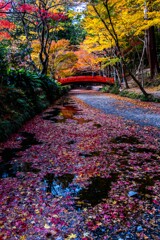 晩秋の小国神社