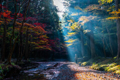 朝日のきらめき