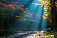 朝日のきらめき