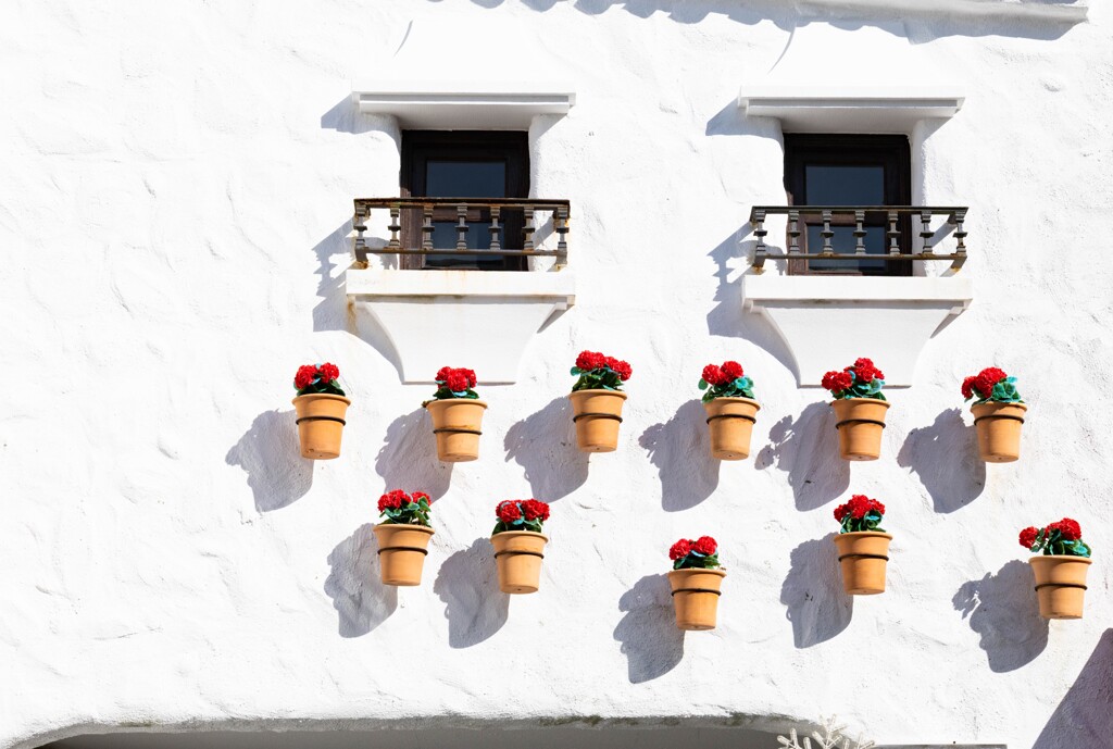 ウォールフラワー