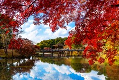 秋色浮見堂