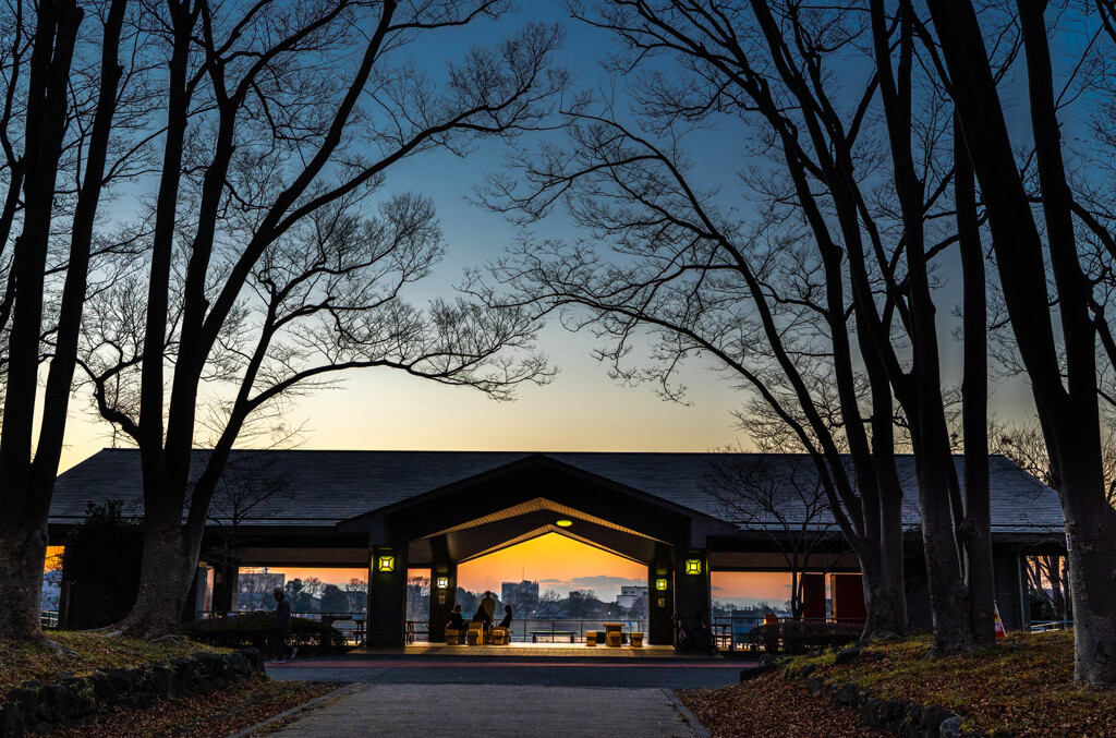 黄昏の公園