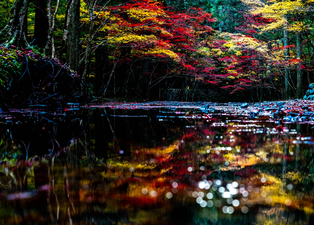 宮川リフレクション
