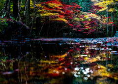宮川リフレクション