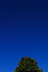 冬のシャボン玉