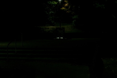 夜の公園