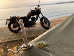 夕暮れの訪問者