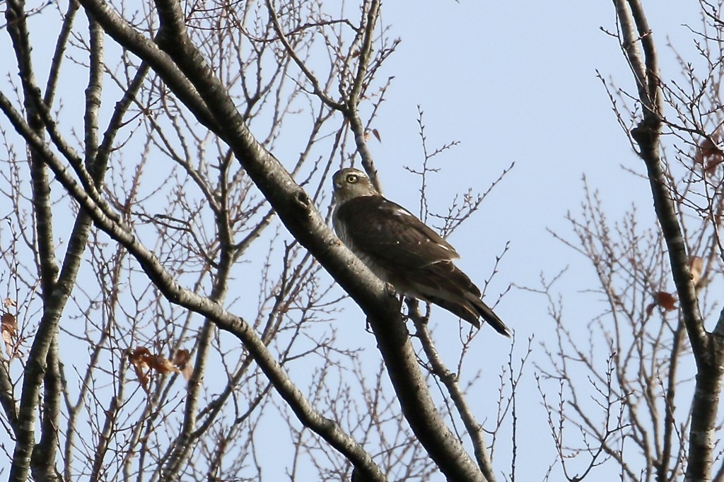 初めての出会いかも?!