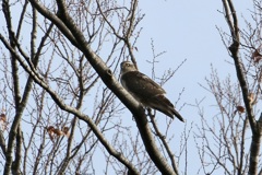 初めての出会いかも?!