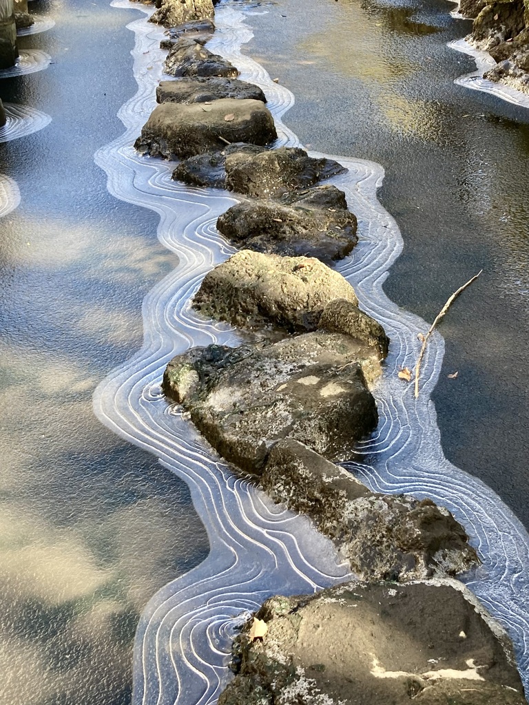 散歩道①  冬模様